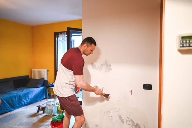 Best Residential Mold Remediation in Louisiana, MO